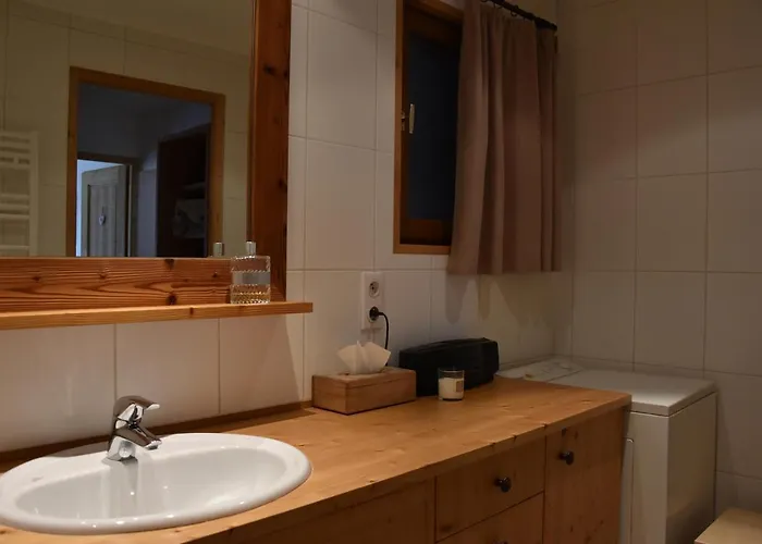 Chaleureux Pmr Avec Terrasse Sud, Parking, Pres De Champagny-en-vanoise - Fr-1-464-80 Apartment *